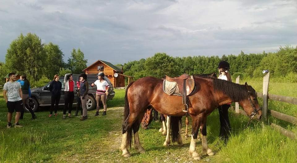 Musketeers Cabin Felsőporumbák Kültér fotó